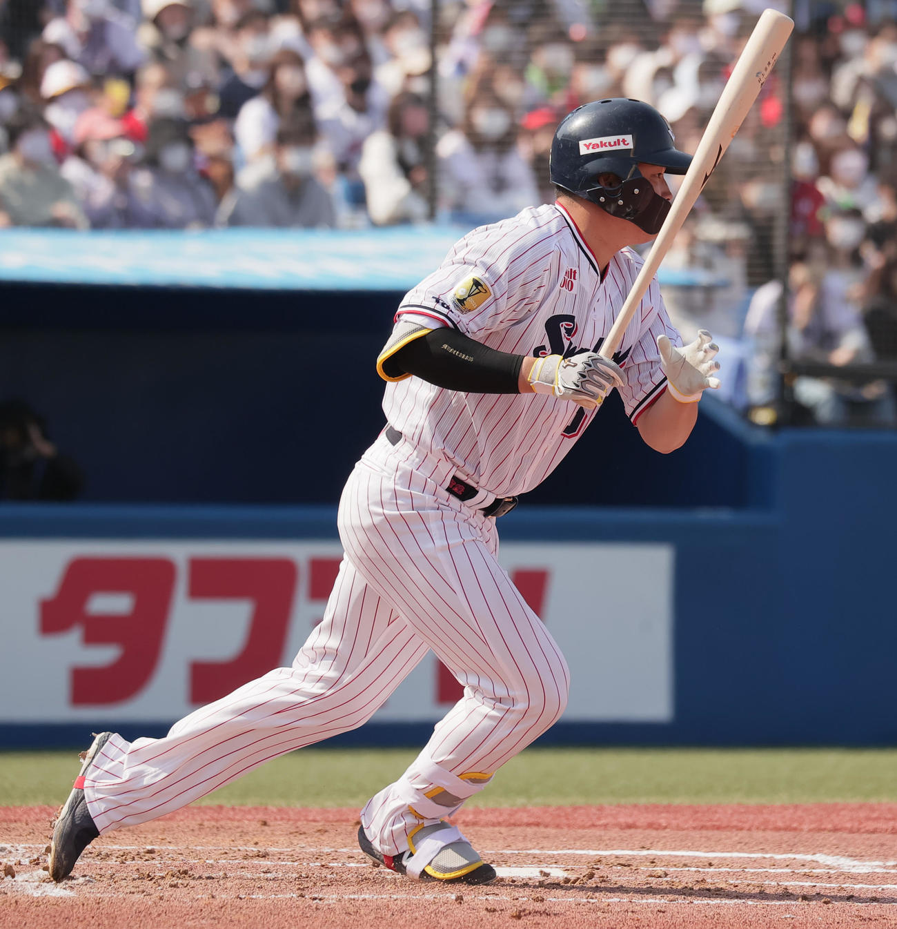 ヤクルト対ソフトバンク　1回裏ヤクルト2死二塁、右適時三塁打を放つ村上（撮影・野上伸悟）
