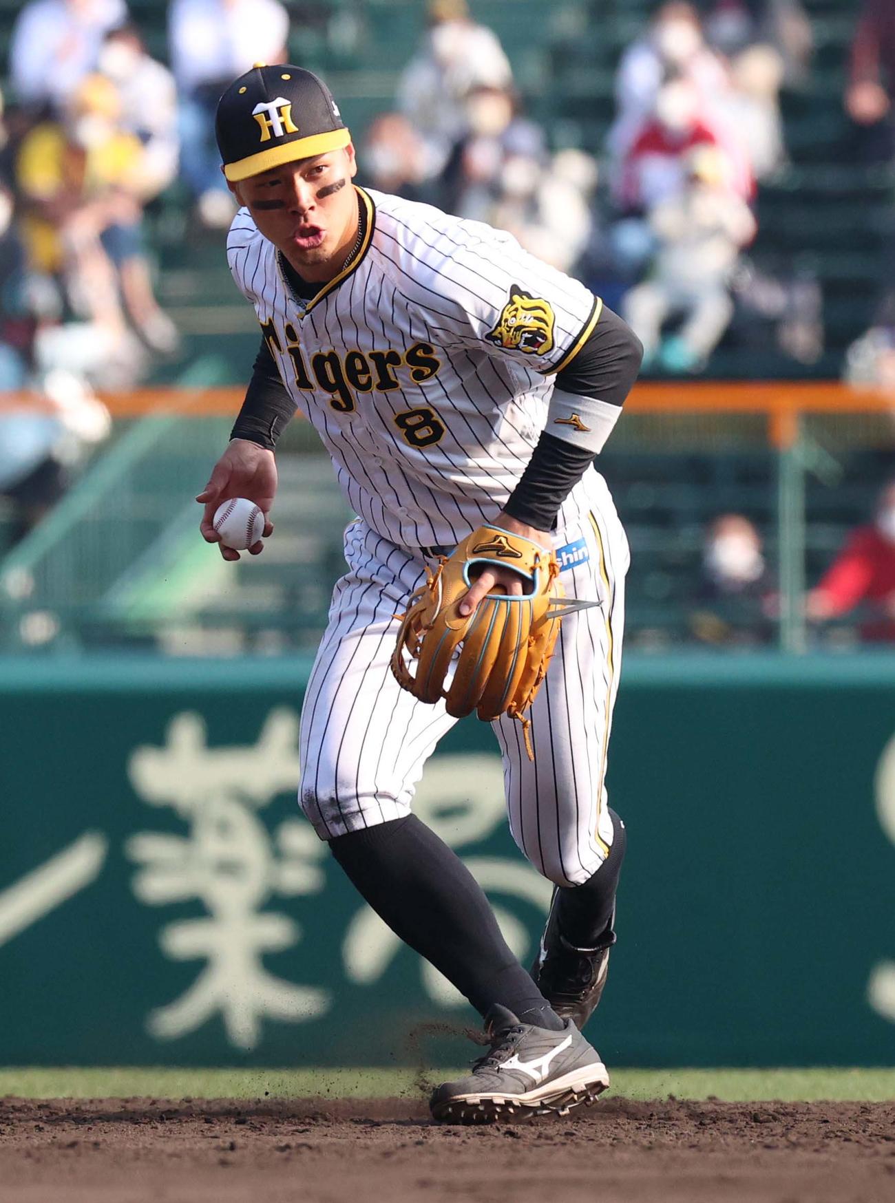 阪神対中日　9回表中日2死、最終打者・岡林の二ゴロをさばく佐藤輝（撮影・上田博志）