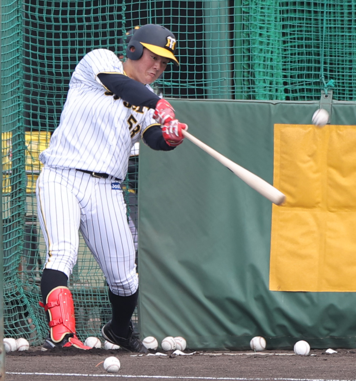 阪神前川右京（2022年3月9日撮影）