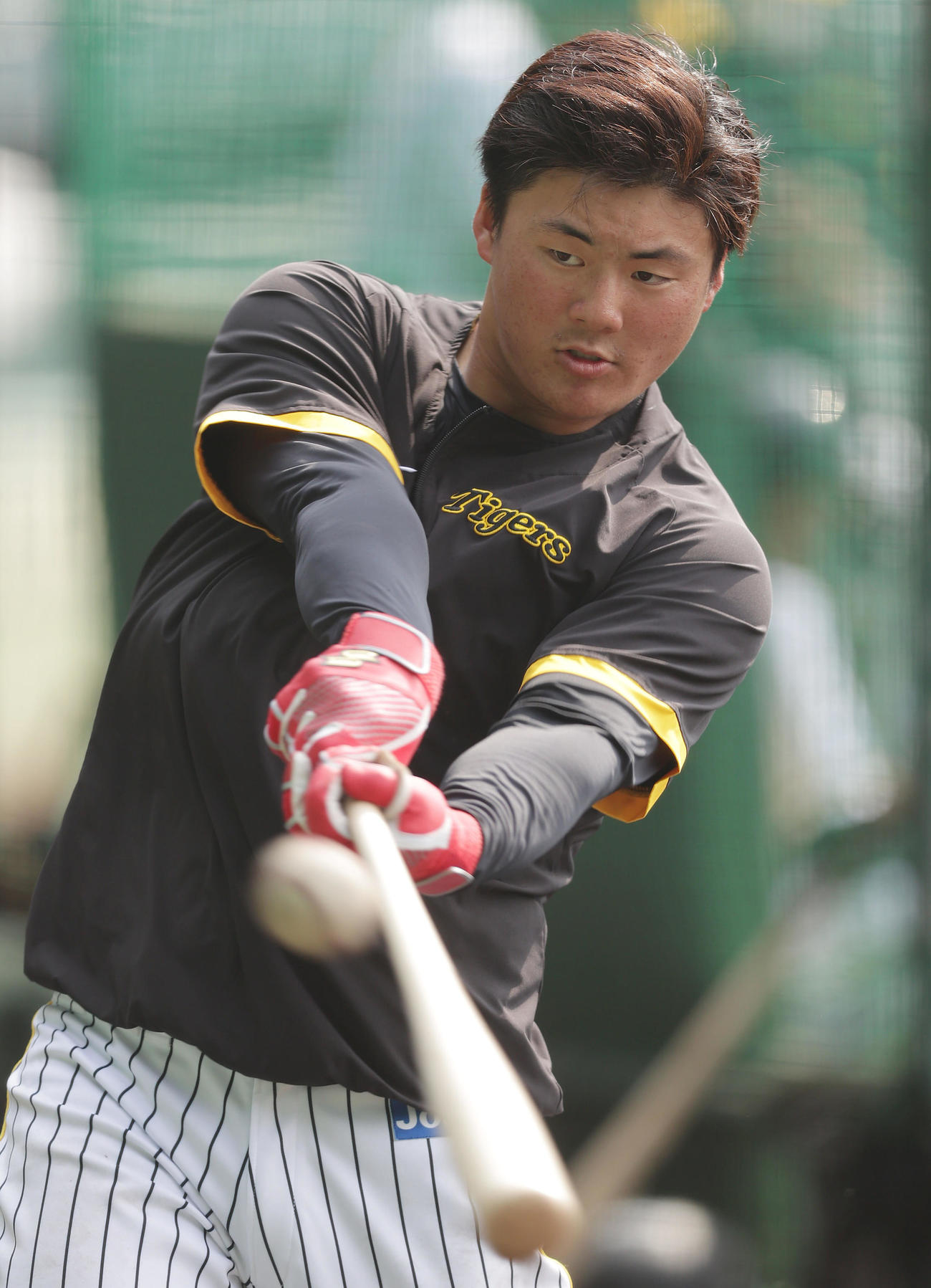 阪神対巨人　1軍に合流し試合前練習に臨む阪神前川（撮影・前田充）