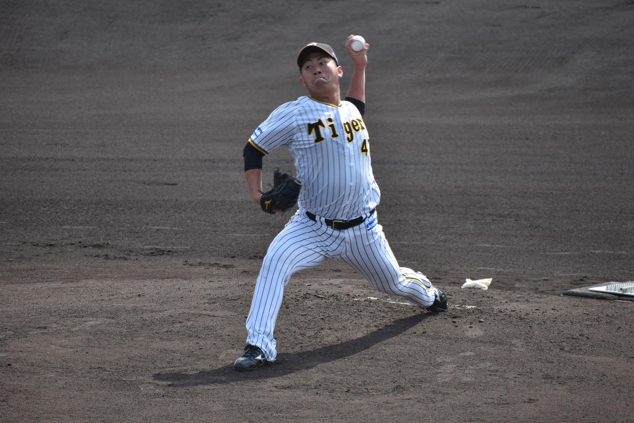 教育リーグ中日戦に先発した阪神桐敷（撮影・古財稜明）