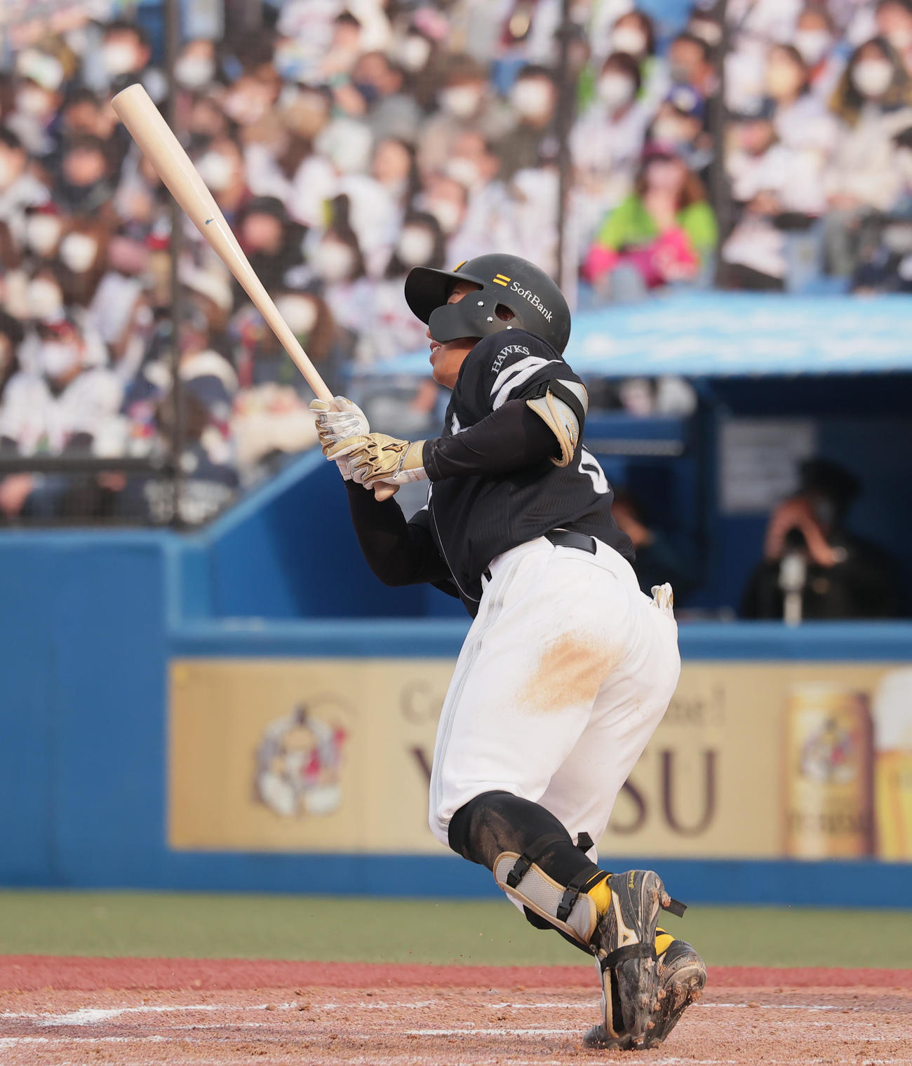 ヤクルト対ソフトバンク　9回表ソフトバンク無死、左越えソロ本塁打を放つ野村勇（撮影・野上伸悟）