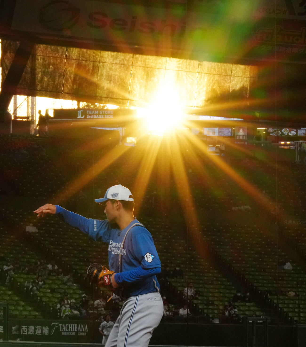 西武対日本ハム　ベルーナドームに差し込む夕日を浴び、試合前練習に臨む日本ハム清宮（撮影・江口和貴）