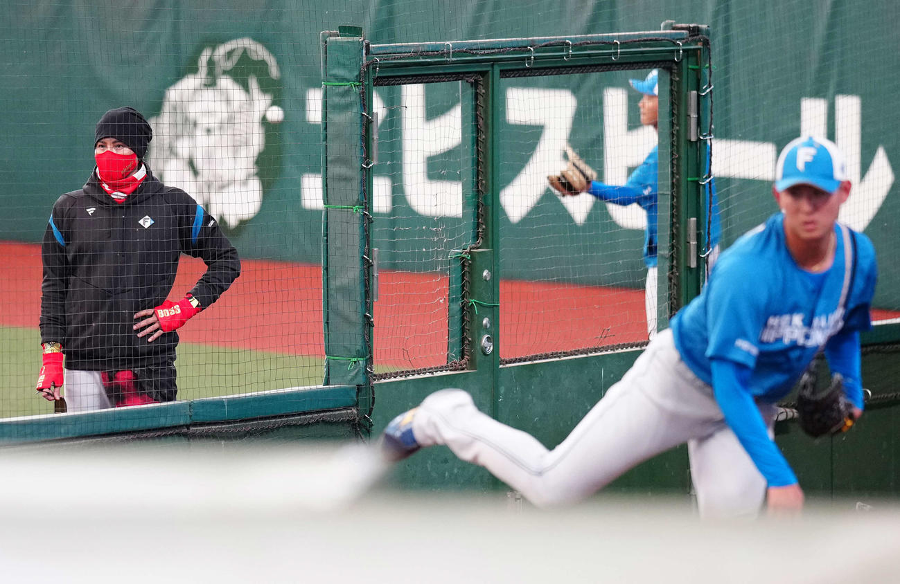 西武対日本ハム　試合前練習中、ブルペン投球する日本ハム姫野（右）を見つめる新庄監督（撮影・江口和貴）