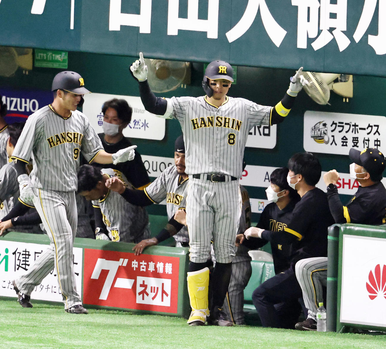 ソフトバンク対阪神　7回表阪神2死一塁、佐藤輝は右越え2点本塁打を放ちベンチ前でポーズを決める（撮影・加藤哉）