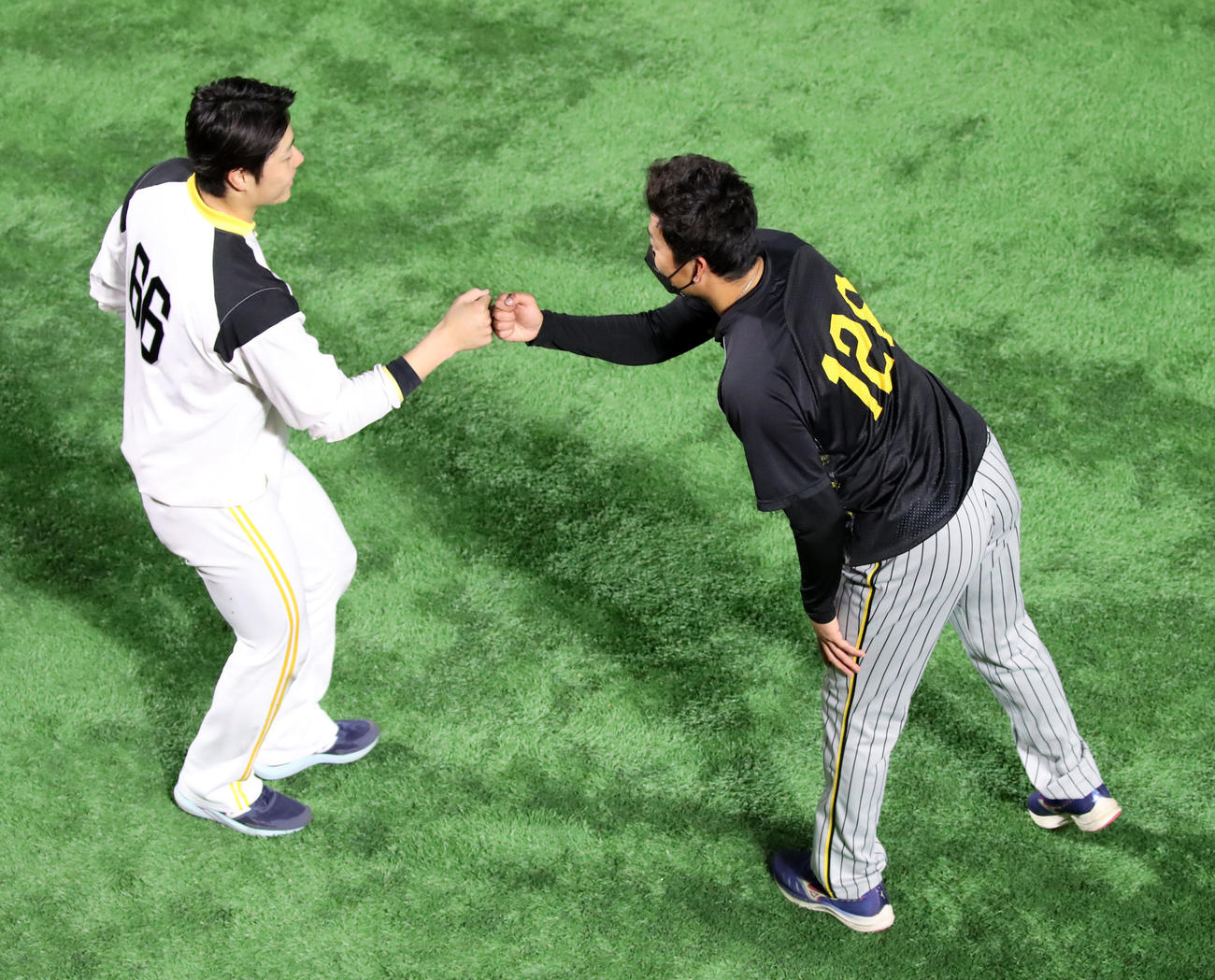 ソフトバンク対阪神　松本（左）とタッチする渡辺（撮影・加藤哉）