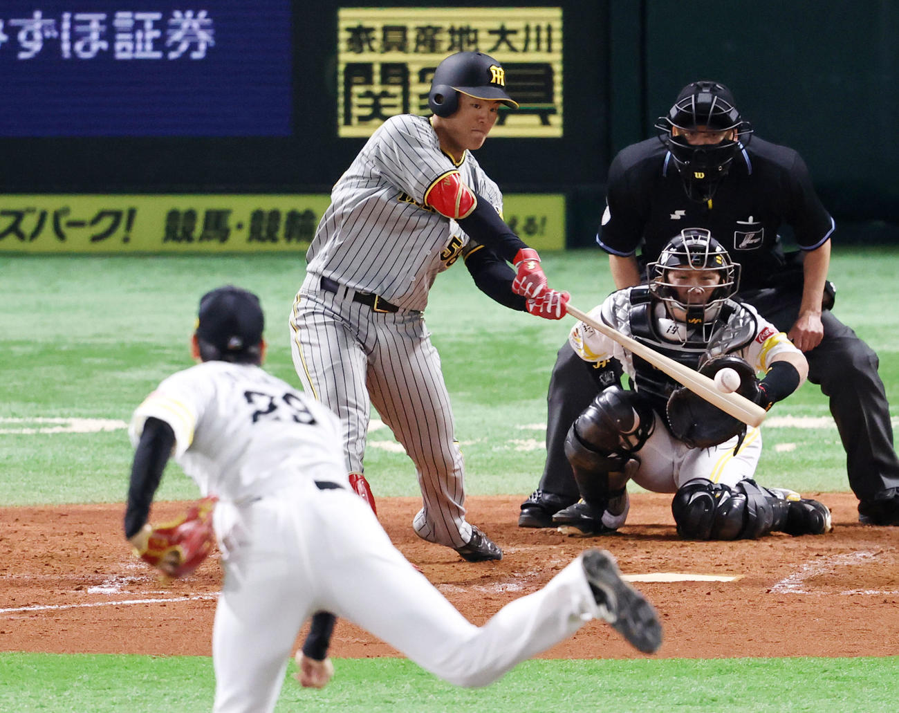 ソフトバンク対阪神　5回表阪神無死、代打前川は捕邪飛を打ち上げる。投手は石川（撮影・加藤哉）