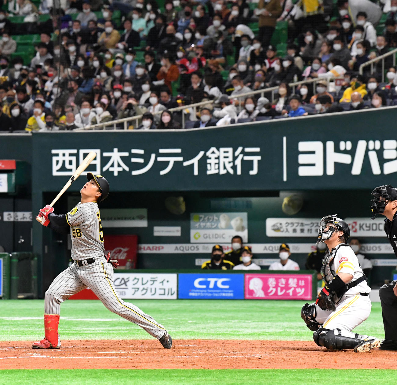 ソフトバンク対阪神　5回表阪神無死、前川は捕邪飛に倒れる（撮影・前岡正明）