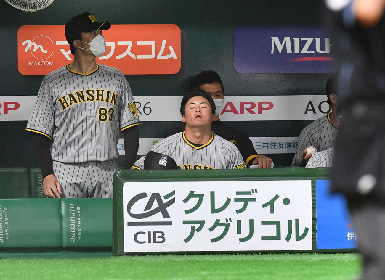 ソフトバンク対阪神　5回表阪神無死、捕邪飛に倒れ、ベンチで悔しそうな表情を見せる前川（撮影・岩下翔太）