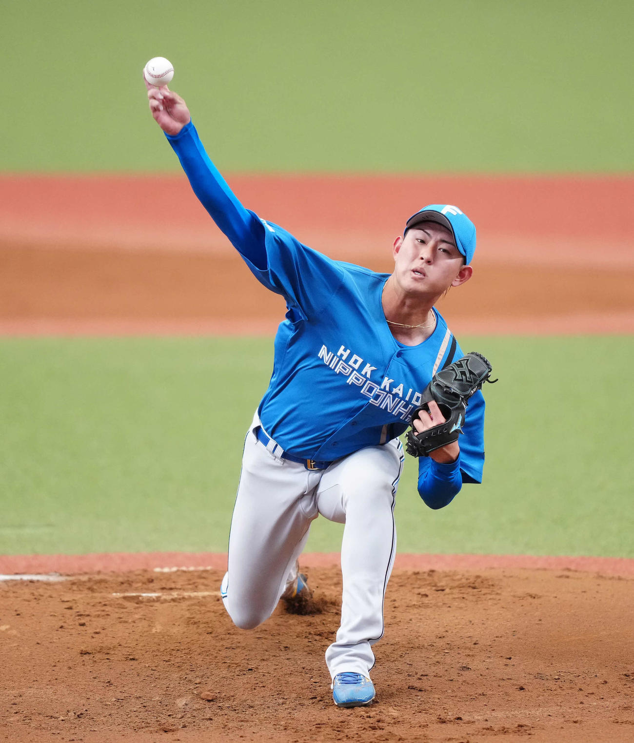 西武対日本ハム　日本ハム先発の姫野（撮影・江口和貴）