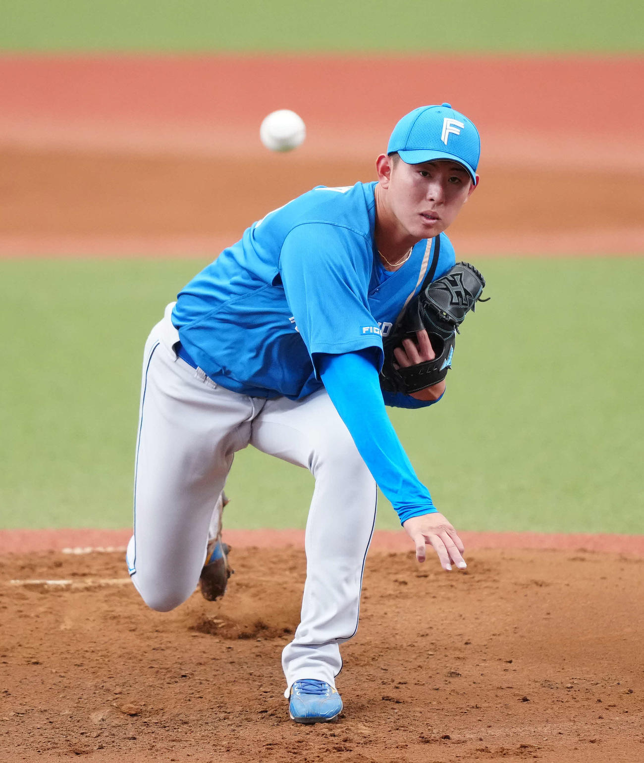 西武対日本ハム　日本ハム先発の姫野（撮影・江口和貴）
