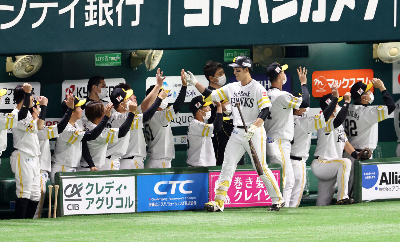 ソフトバンク対阪神　4回裏ソフトバンク1死二塁、栗原は右越え2点本塁打を放ちベンチのナインとエアタッチする（撮影・加藤哉）