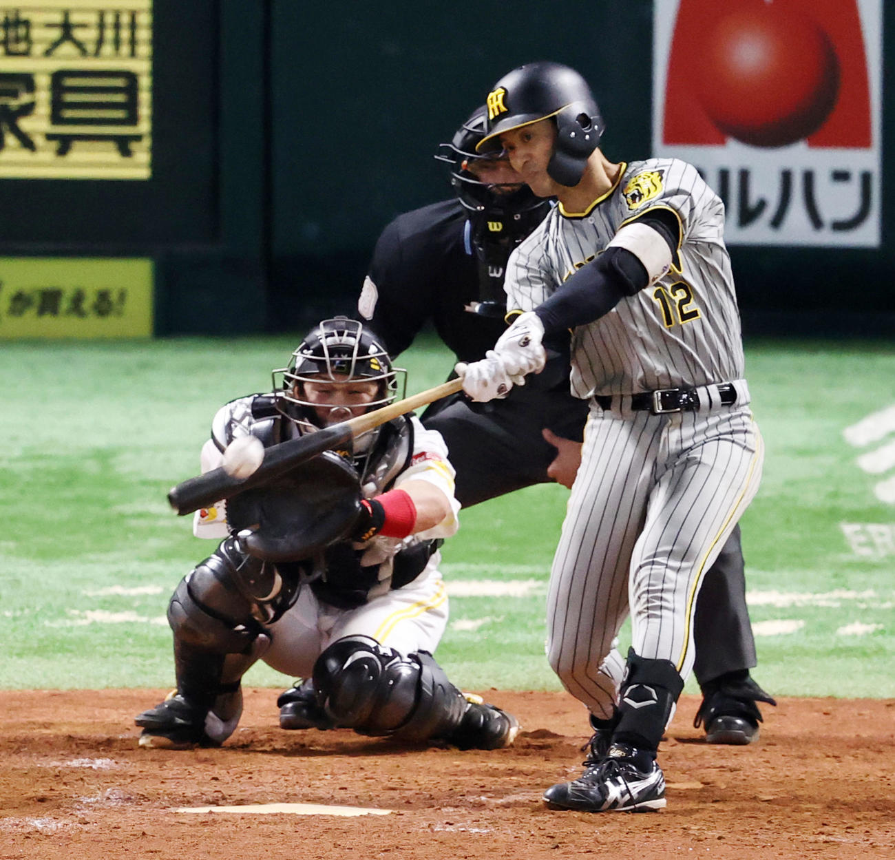 ソフトバンク対阪神　5回表阪神2死、坂本は左越え本塁打を放つ（撮影・加藤哉）