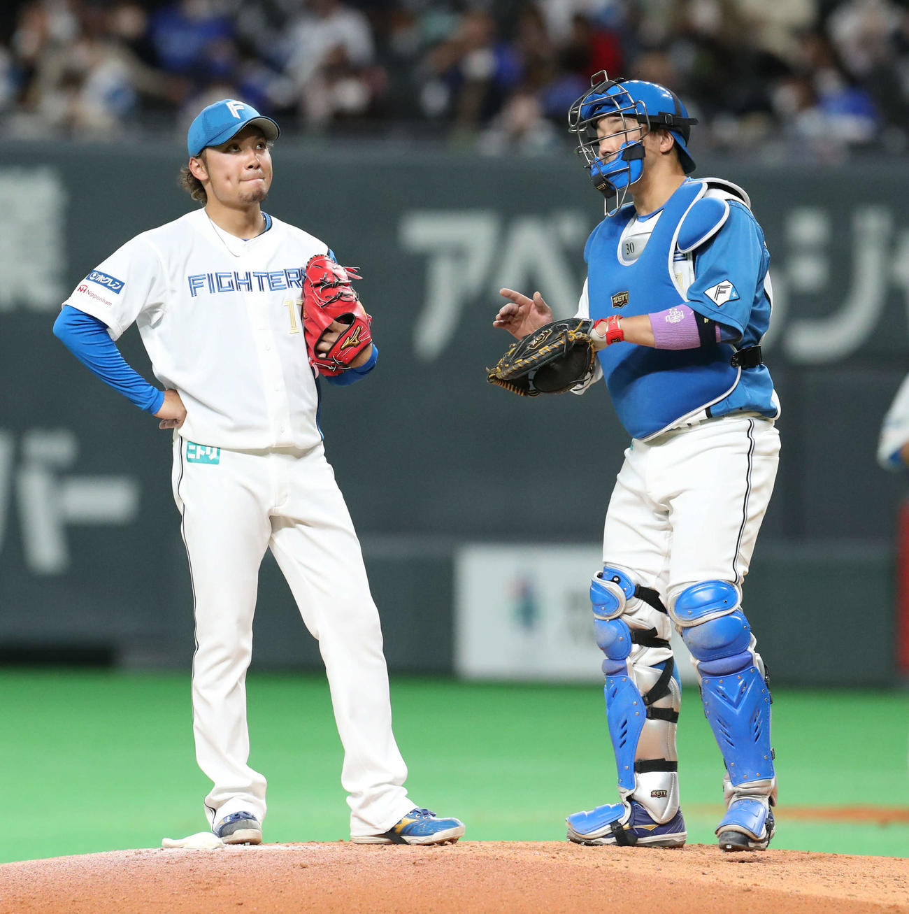 日本ハム対DeNA　マウンドで話し合う日本ハム伊藤（左）と宇佐見（撮影・佐藤翔太）