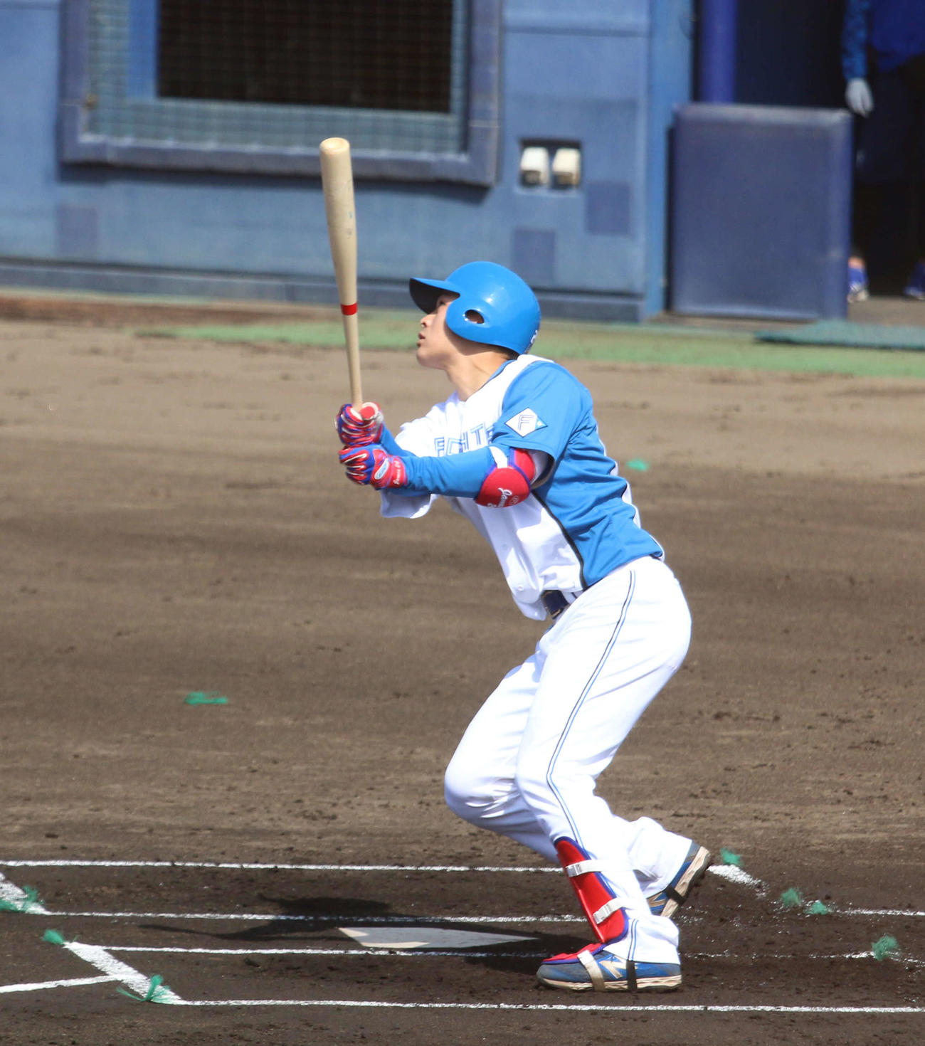 日本ハム対DeNA 1回裏日本ハム無死、中飛に倒れた日本ハム野村（撮影・木下大輔）