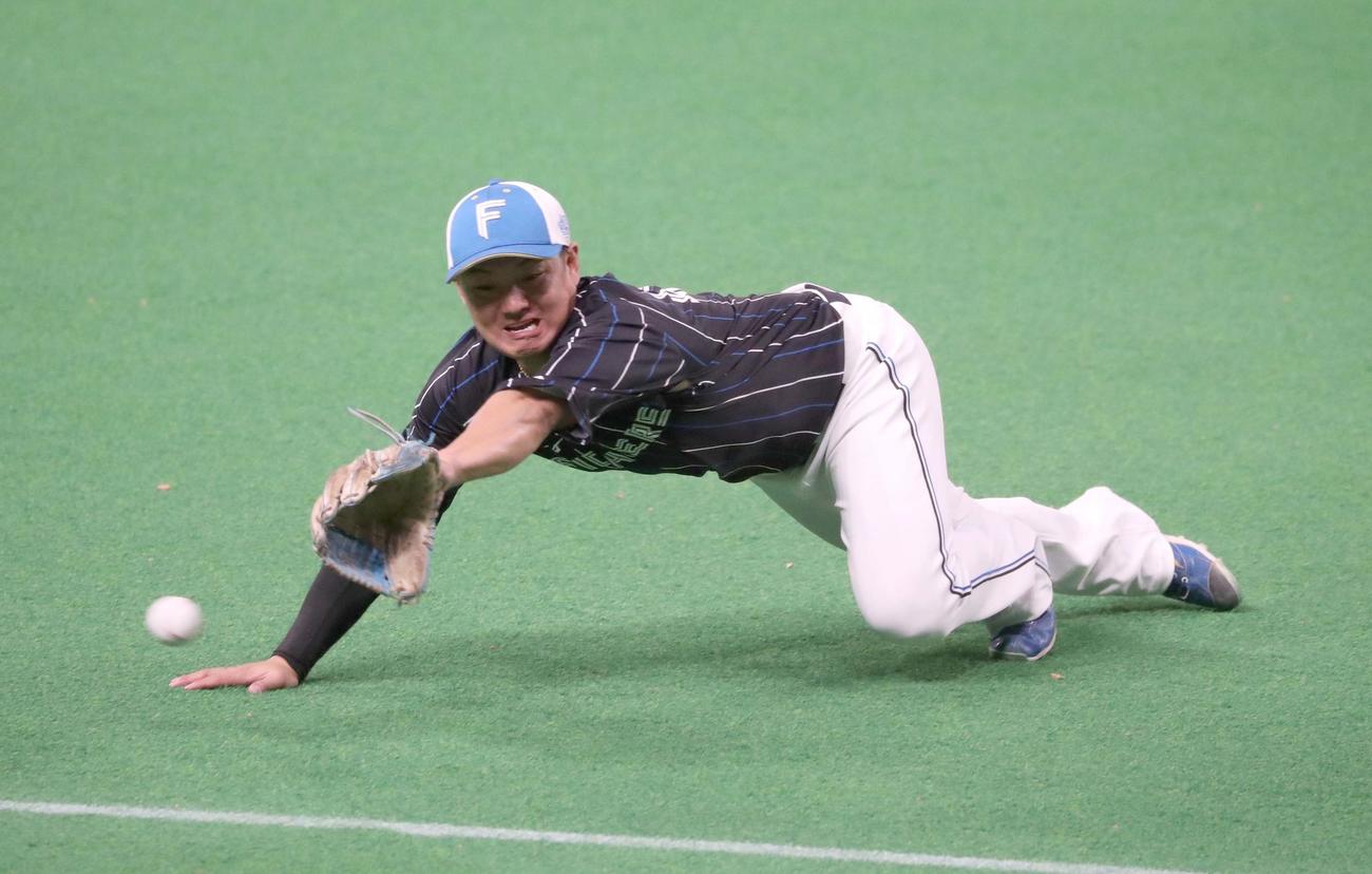ノックを受ける日本ハム佐藤（撮影・黒川智章）