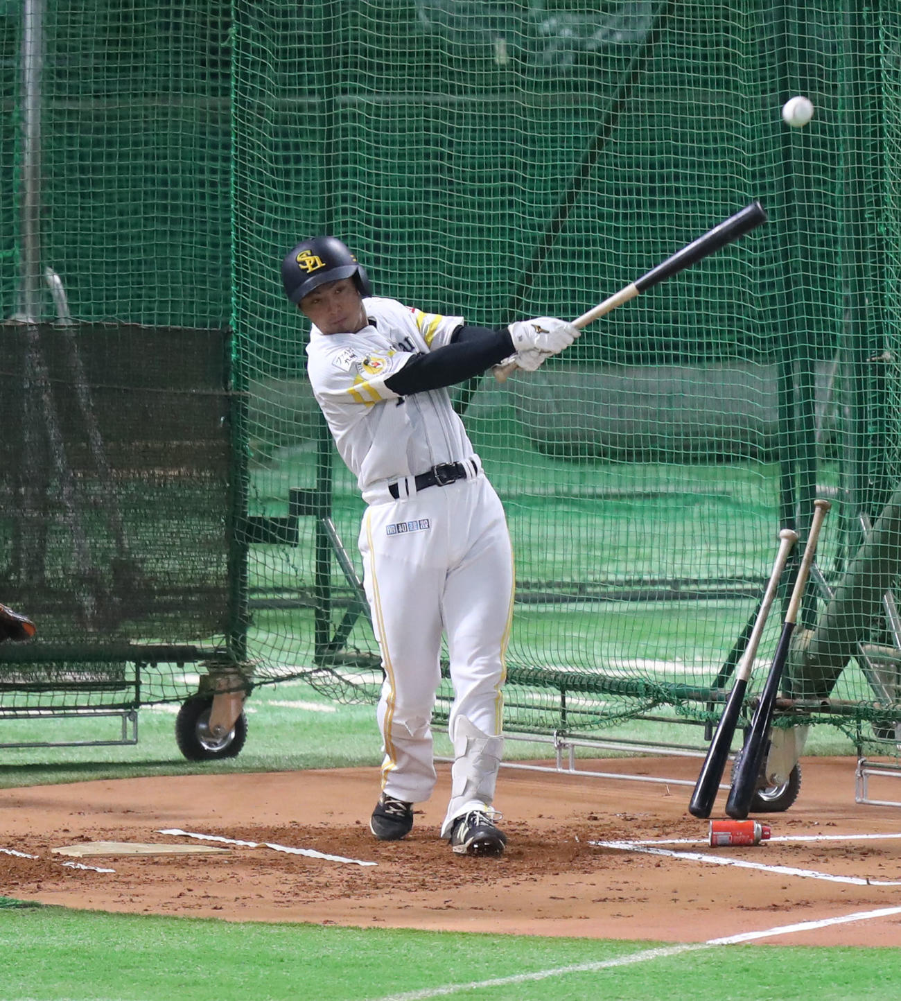 打撃練習をする佐藤直（撮影・屋方直哉）