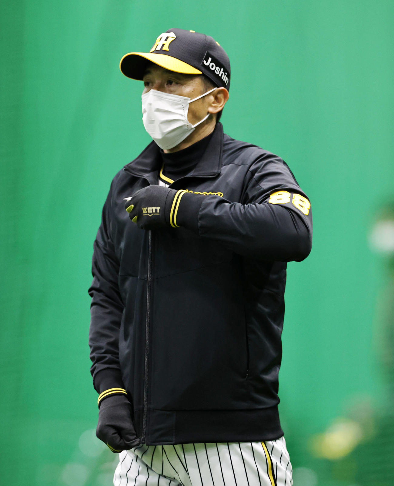 上着を着てジッパーを上げる阪神矢野監督（撮影・加藤哉）