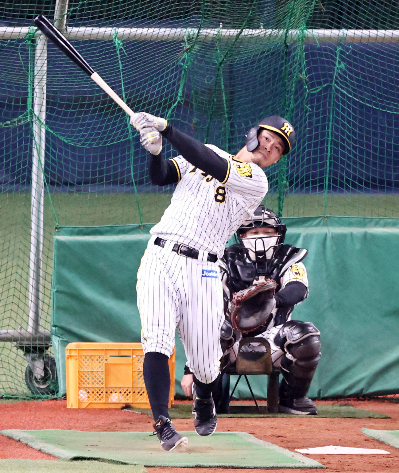 打撃練習を行う佐藤輝（撮影・加藤哉）