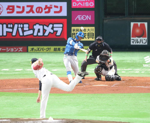 ソフトバンク対日本ハム　4回表日本ハム無死、石井一成は右中間に先制本塁打を放つ（撮影・梅根麻紀）