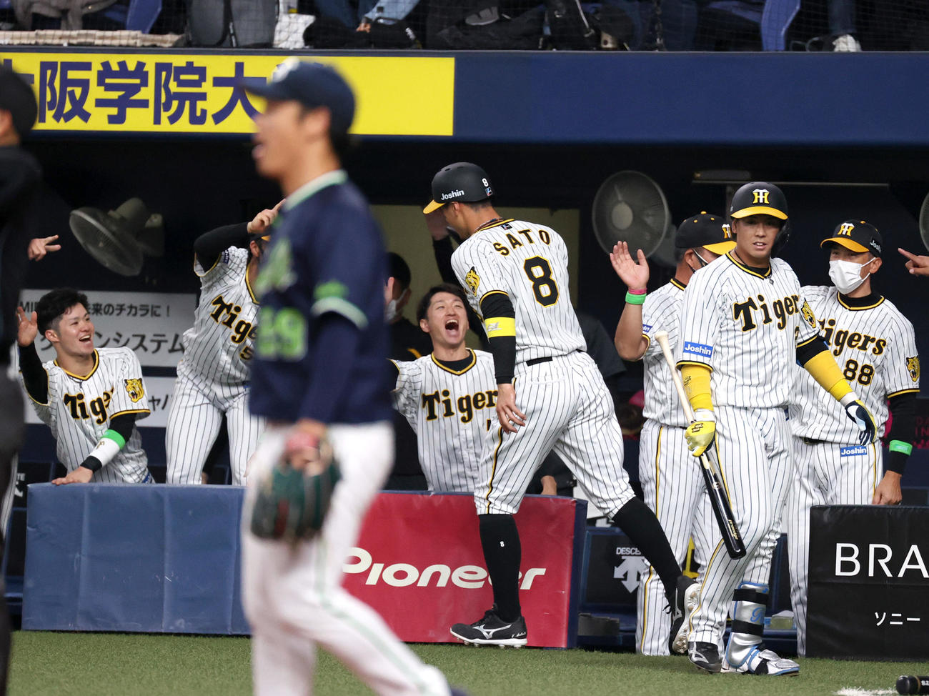 阪神対ヤクルト　2回裏阪神無死一、二塁、佐藤輝（手前）は糸井の中前適時打で生還し矢野監督（右）らから出迎えを受ける（撮影・上山淳一）