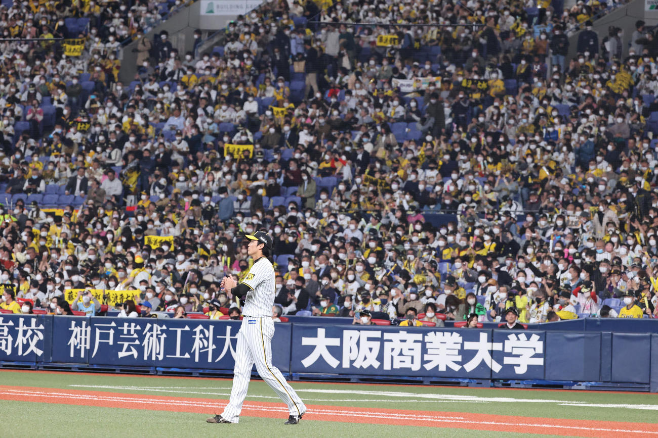 阪神対ヤクルト　マウンドに向かう藤浪に声援を送る阪神ファン（撮影・上山淳一）