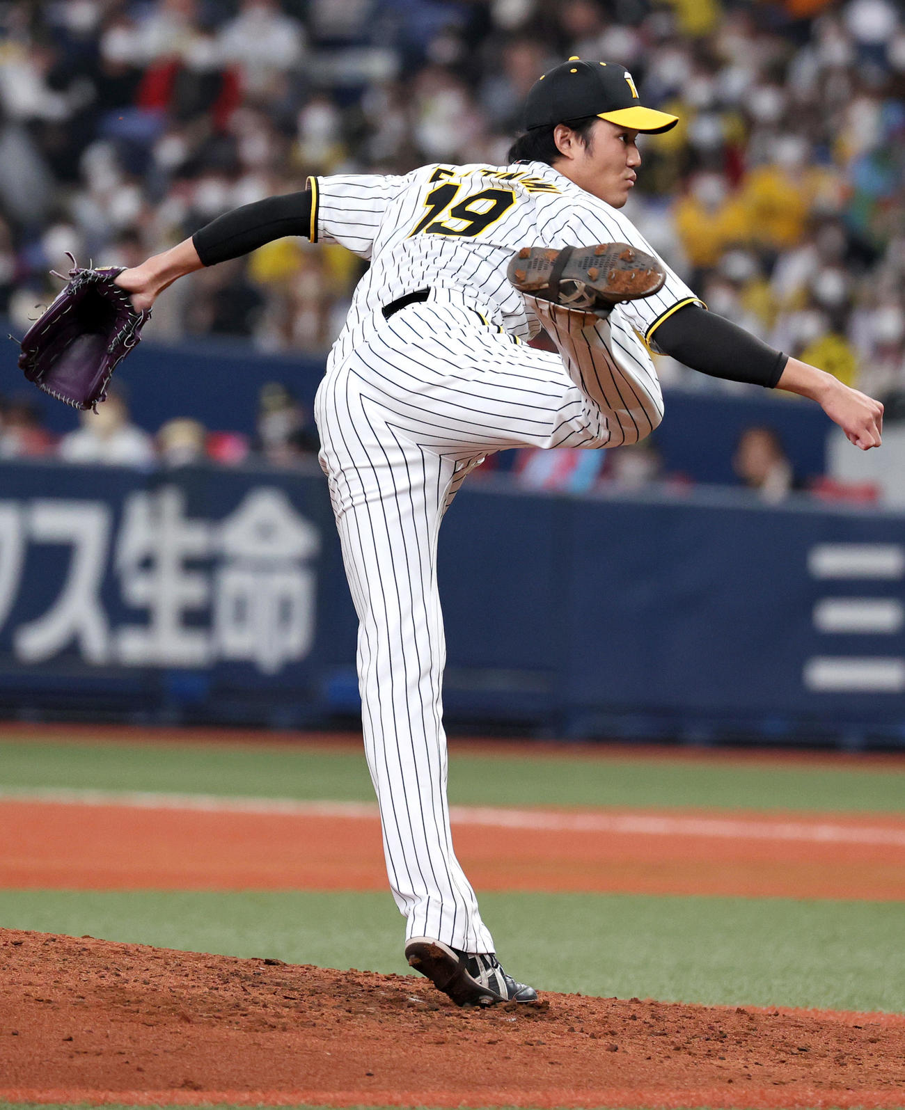 阪神対ヤクルト　力投する藤浪（撮影・上山淳一）