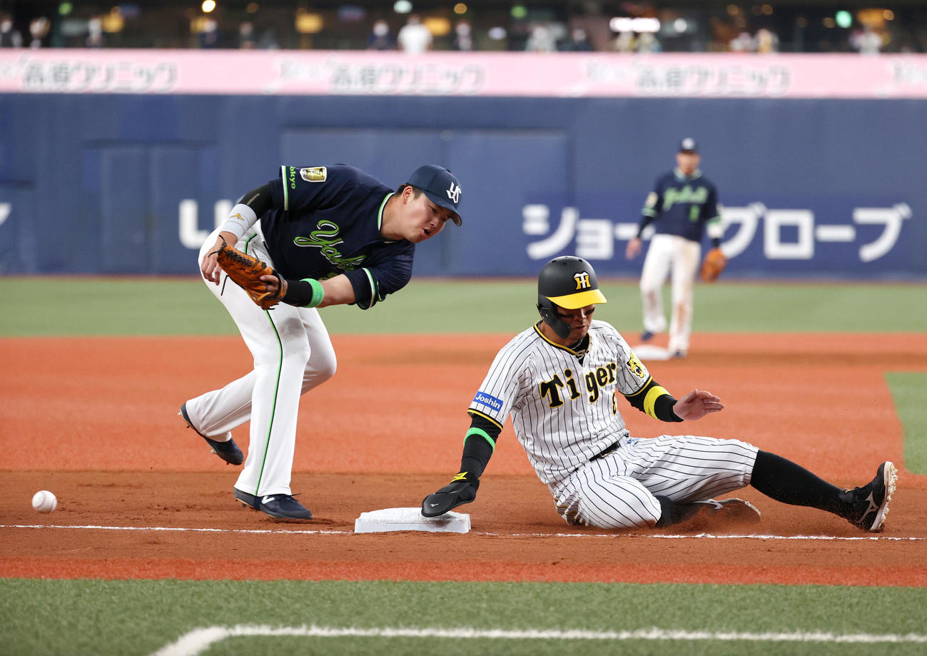 阪神対ヤクルト　4回裏阪神2死二塁、糸原の遊ゴロの時、三進を狙った佐藤輝（右）は、村上（左）の捕球ミスに乗じて生還する（撮影・上山淳一）