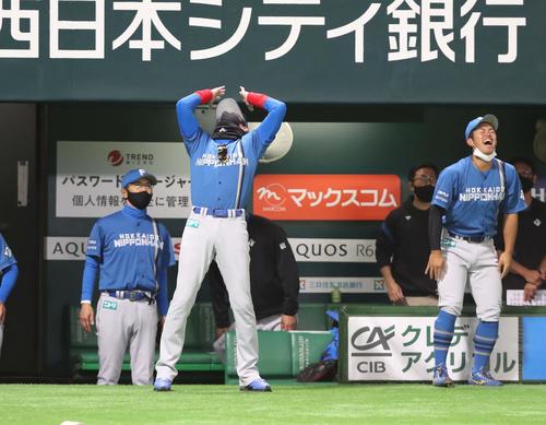 ソフトバンク対日本ハム　4回表、清宮の右翼ポール際の打球がファウルとなりのけぞる新庄監督（撮影・黒川智章）