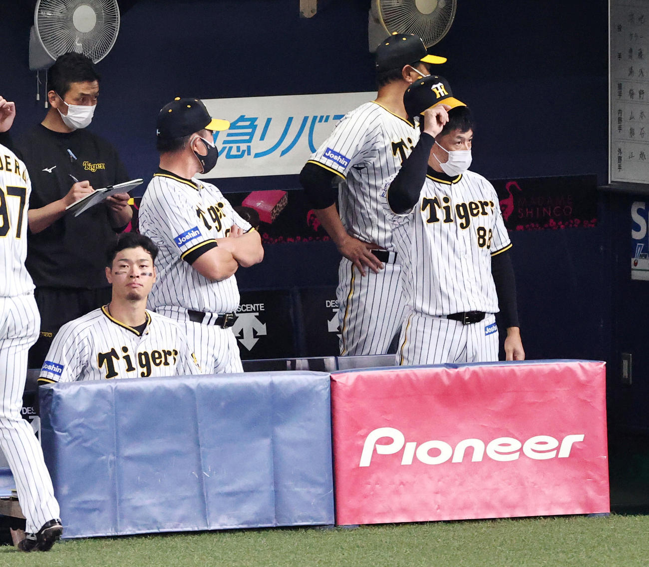 ベンチで戦況を見つめる矢野監督。左は佐藤輝（撮影・加藤哉）