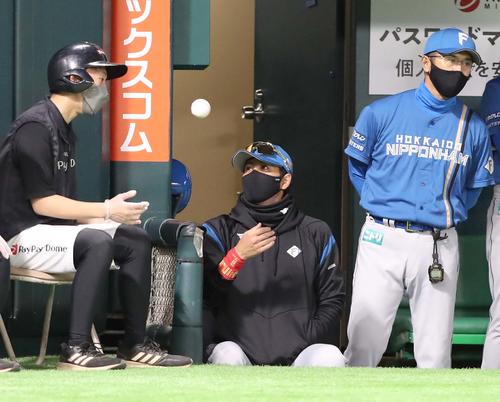 ソフトバンク対日本ハム　ボールボーイにボールを返す新庄監督（撮影・黒川智章）