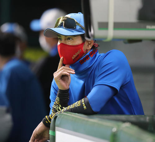 ソフトバンク対日本ハム　試合前のソフトバンクの練習を見つめる新庄監督（撮影・屋方直哉）