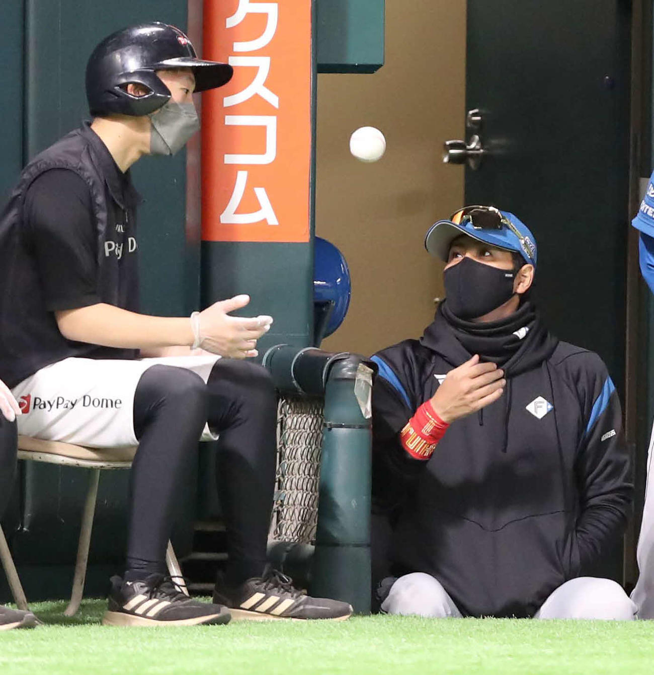 ソフトバンク対日本ハム　ボールボーイにボールを返す新庄監督（撮影・黒川智章）