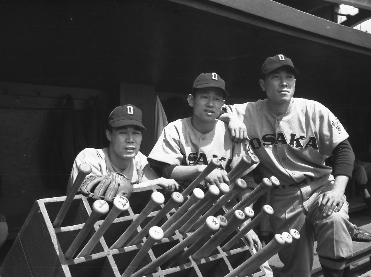 56年、ベンチでポーズを取る大阪タイガースの、左から大津淳、吉田義男、田宮謙次郎