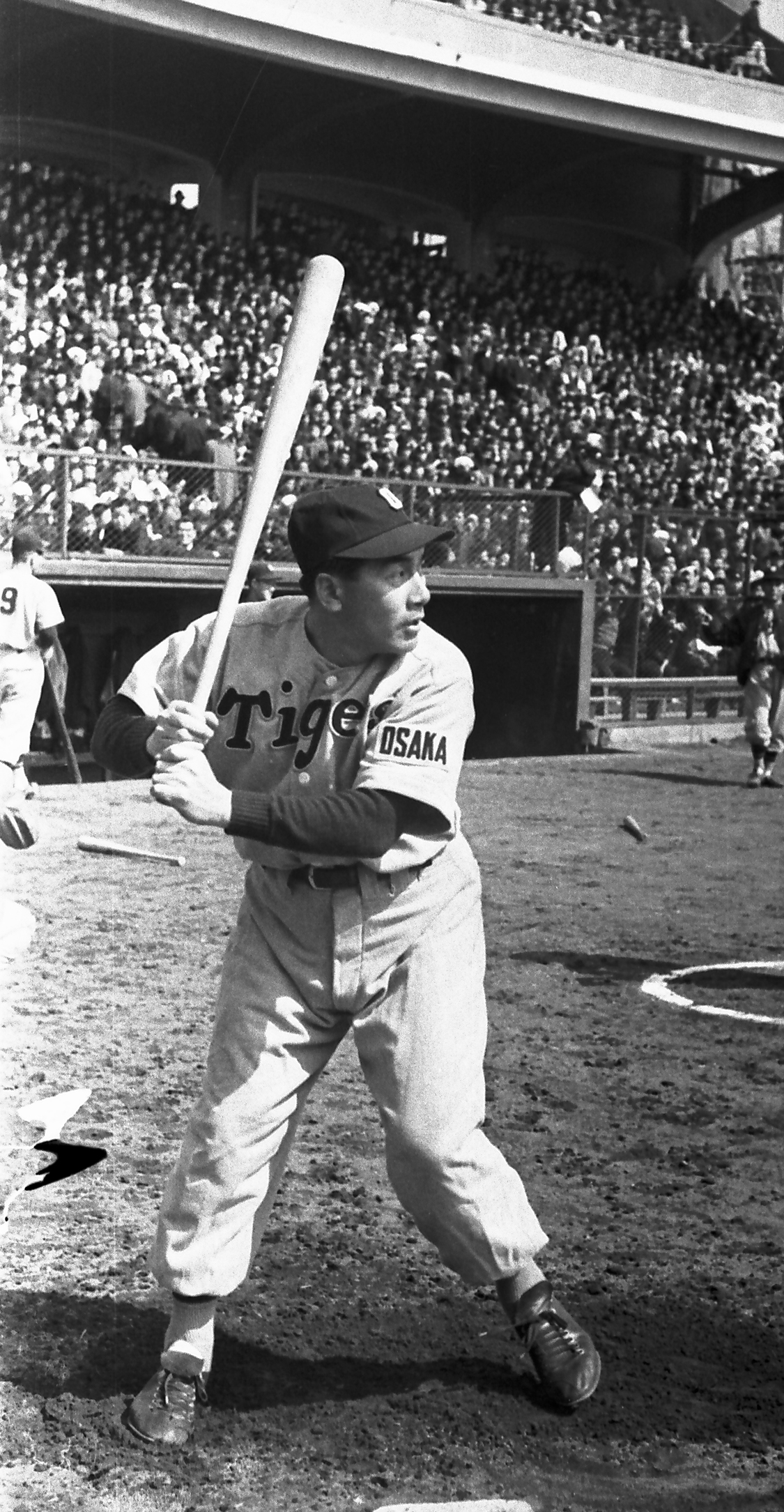 52年、大阪タイガース藤村富美男の打撃フォーム