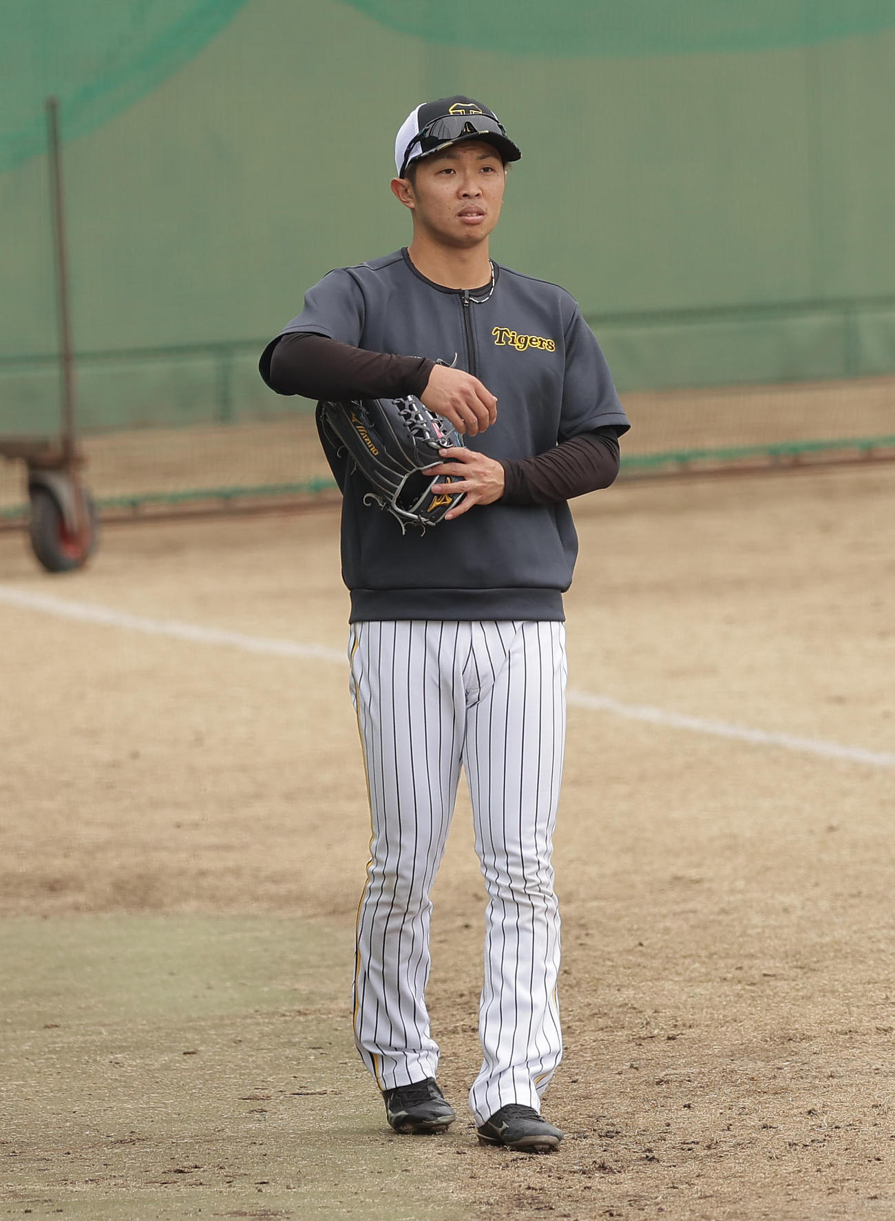 鳴尾浜球場で練習に臨む阪神島田（撮影・前田充）