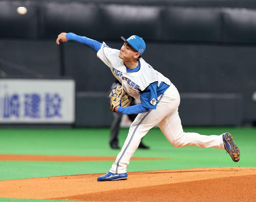 日本ハム対西武 力投する日本ハム先発の立野(撮影・浅見桂子)