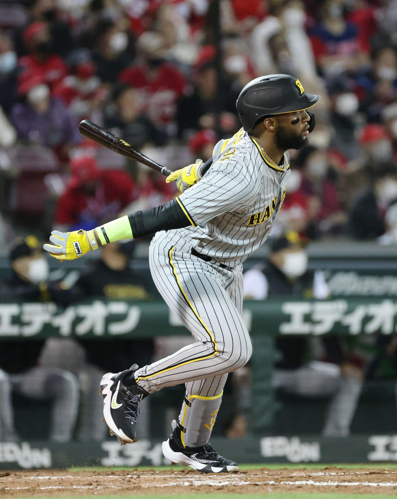 広島対阪神　5回表阪神無死、ロハス・ジュニアは先制左越え本塁打を放つ（撮影・加藤孝規）