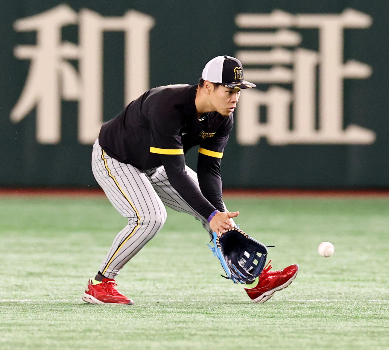 巨人対阪神　二塁でノックを受ける佐藤輝（撮影・加藤哉）