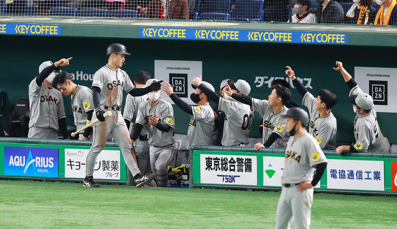 巨人対阪神　4回表阪神2死二塁、近本の適時打で生還した坂本（手前左）はナインの出迎えを受ける（撮影・垰建太）