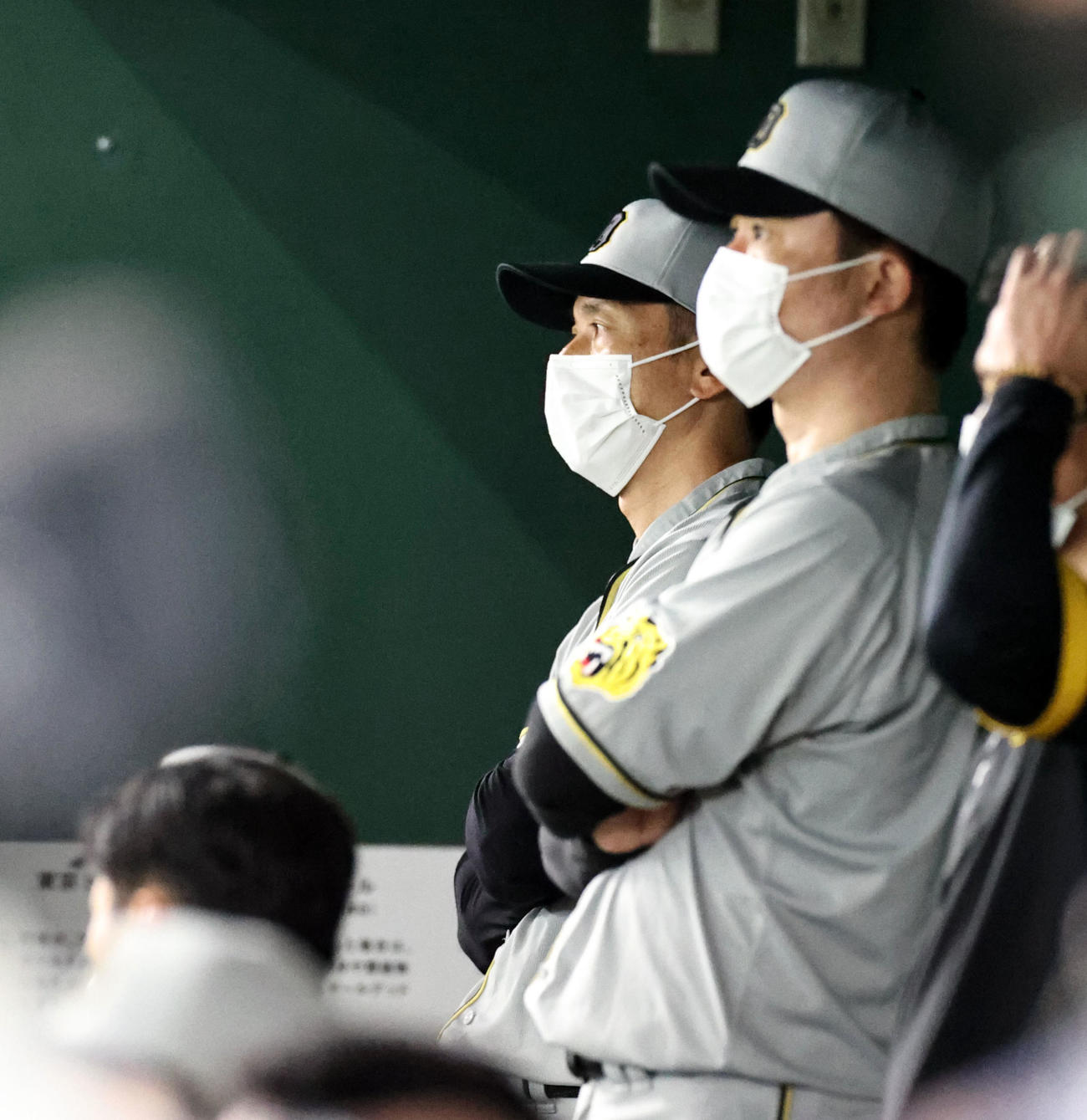 巨人対阪神　ベンチから戦況を見つめる矢野監督。右は新井コーチ（撮影・加藤哉）