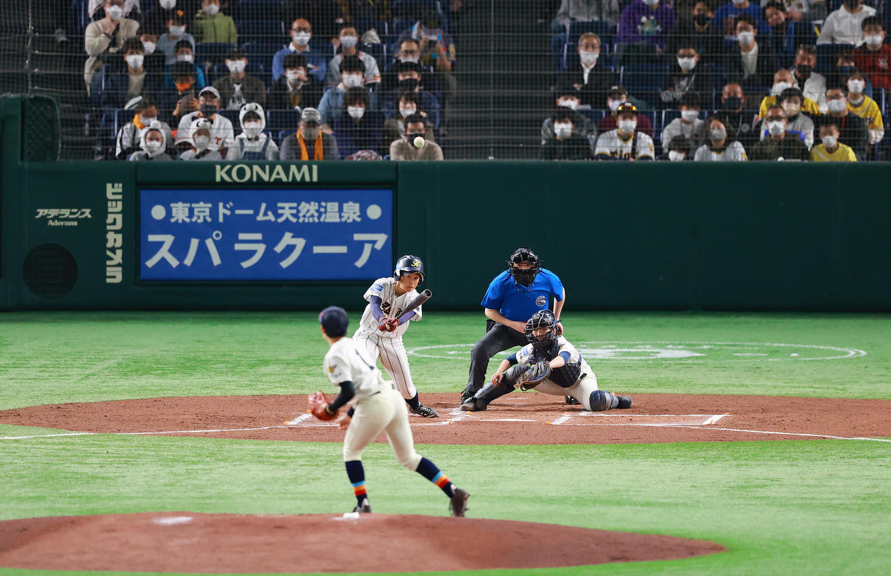 福井工大福井対神戸弘陵　1回裏神戸弘陵1死、中前打を放つ正代。投手吉森（撮影・垰建太）