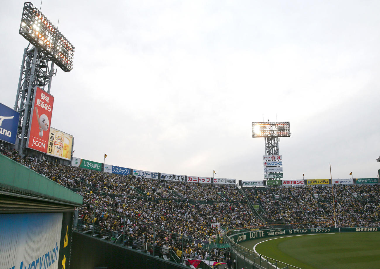 阪神対DeNA　試合開始を迎え、盛り上がる甲子園球場（撮影・上山淳一）