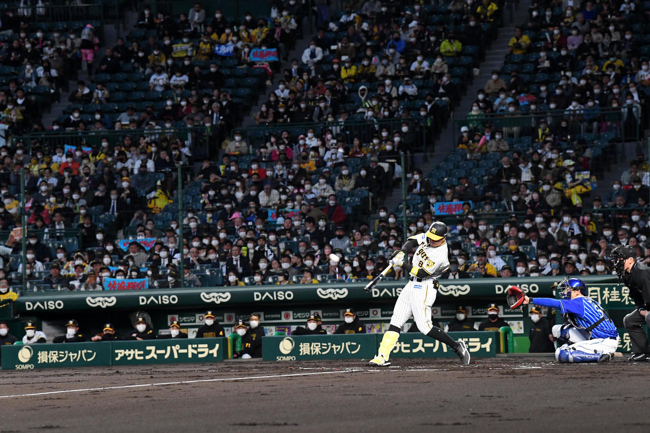 阪神対DeNA 1回裏阪神1死一塁、佐藤輝は右越え2点本塁打を放つ（撮影・前岡正明）