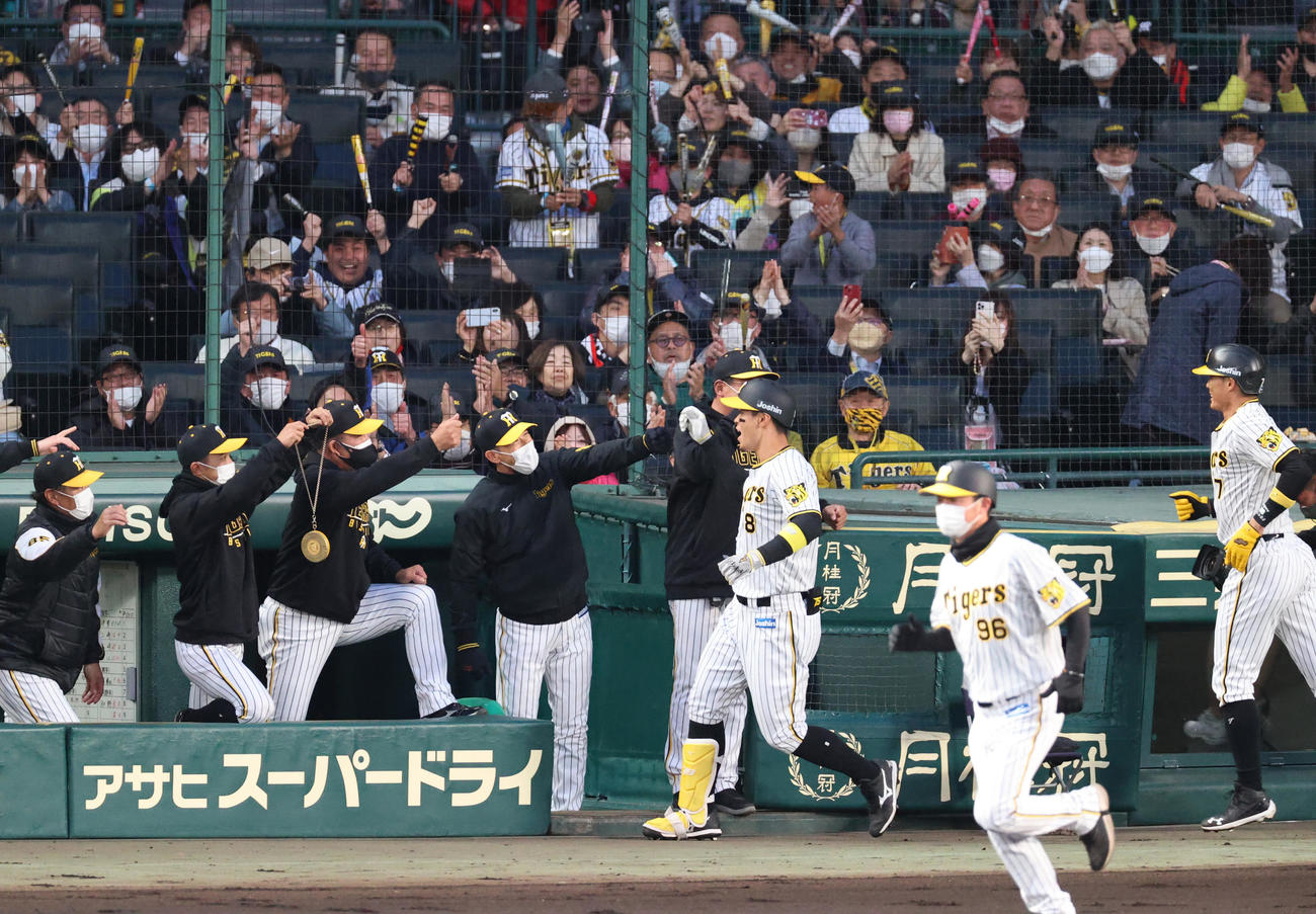 阪神対DeNA 1回裏阪神1死一塁、矢野監督（左から4人目）は右越え2点本塁打を放った佐藤輝（手前左）を出迎える（撮影・上山淳一）