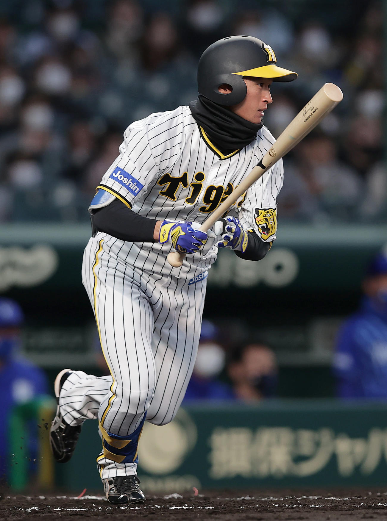 阪神近本光司（2022年4月5日撮影）
