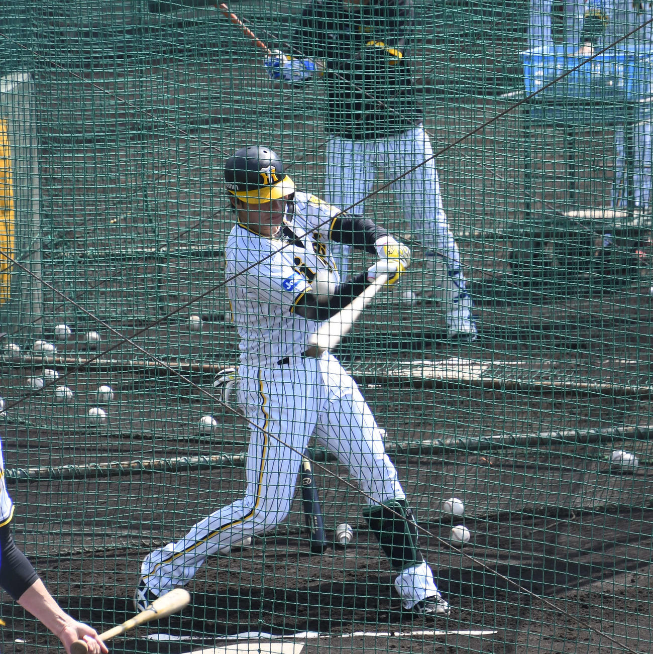 屋外でのフリー打撃を再開した北條（撮影・中野椋）