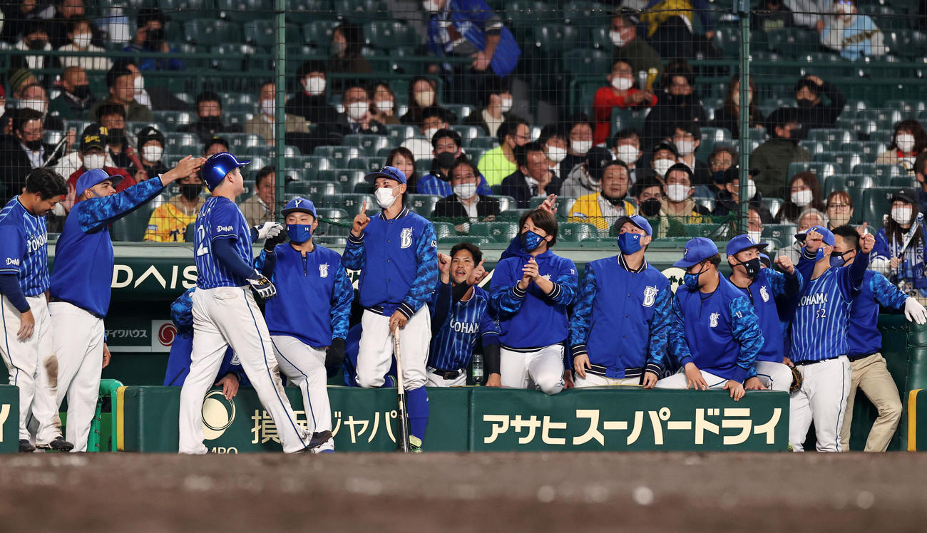 阪神対DeNA 12回表DeNA無死一、三塁、大和の左前適時打で生還した三塁走者牧を出迎えるベンチのナインたち（撮影・加藤哉）