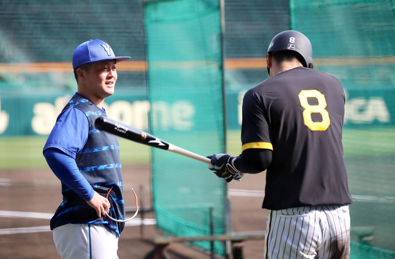 阪神対DeNA　試合前に佐藤輝と話すDeNA牧（左）（撮影・加藤哉）