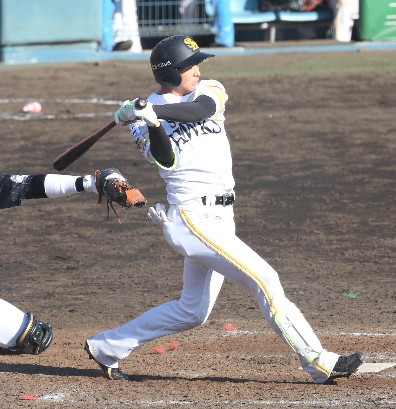 ソフトバンク川瀬（2月24日撮影）